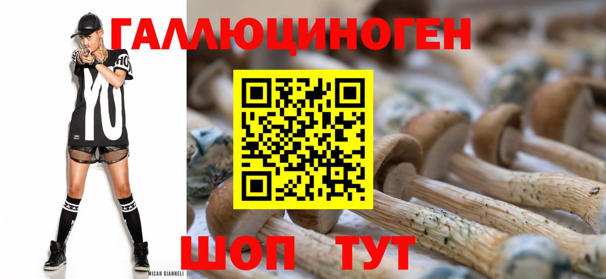 Псилоцибиновые грибы Psilocybine cubensis  Вход с VPN  Псилоцибиновые грибы мицелий  Саяногорск 